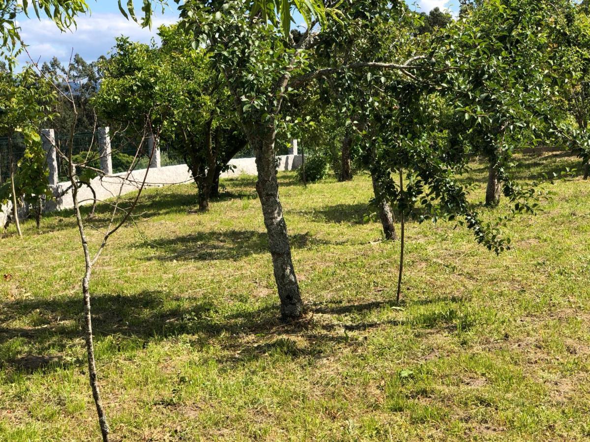 Casa Estrella ξενώνας Tebra Εξωτερικό φωτογραφία